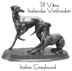 V�lj Heesa Meesas Italienare