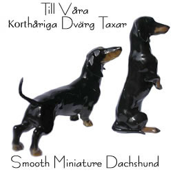 Bästa datingsida i världen 2014 image 8